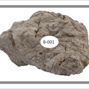 B-001 ELEPHANT STONE